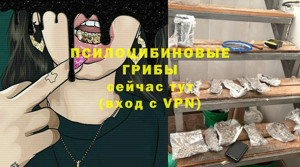 МДПВ Липки
