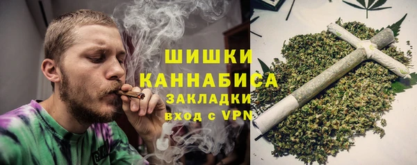 МДПВ Липки
