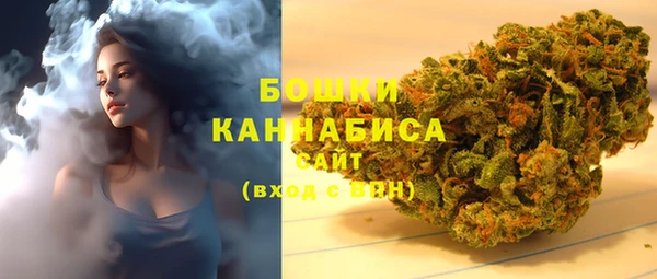 МДПВ Липки