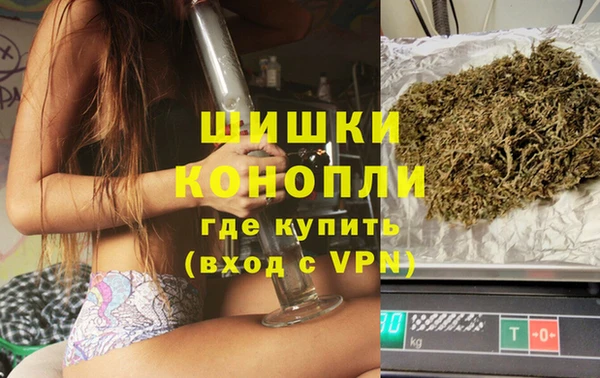 МДПВ Липки