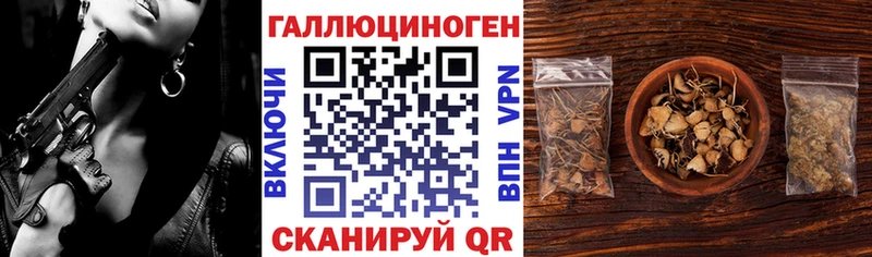 Купить где  Учалы  Галлюциногенные грибы Cubensis 